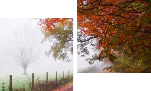 misty autumn morning - Zweiteiliges Leinwandbild, Diptychon