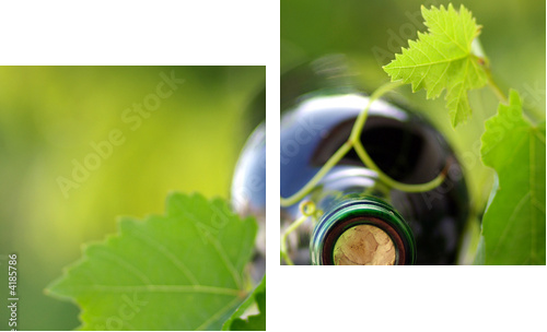 Bottle of wine between grapevine leves - Zweiteiliges Leinwandbild, Diptychon