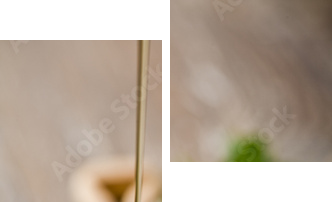 wild honey - Zweiteiliges Leinwandbild, Diptychon