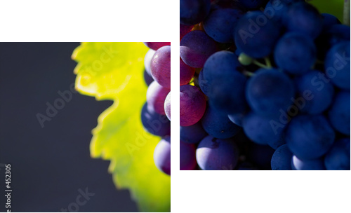 glowing dark wine grapes - Zweiteiliges Leinwandbild, Diptychon