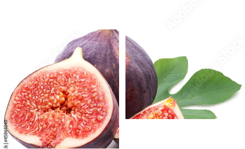 Figs with leaves. - Zweiteiliges Leinwandbild, Diptychon