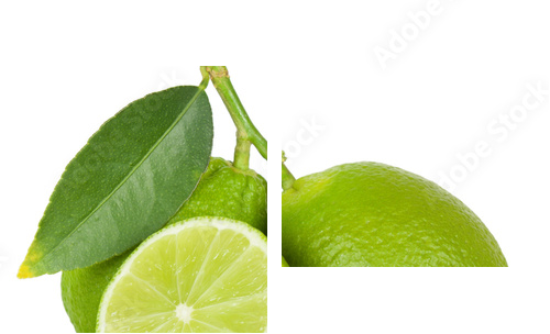 Lime - Zweiteiliges Leinwandbild, Diptychon