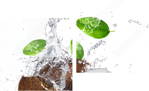 cracked coconut with splashing water - Zweiteiliges Leinwandbild, Diptychon