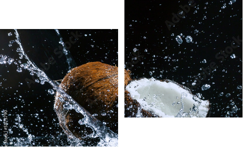 cracked coconut - Zweiteiliges Leinwandbild, Diptychon
