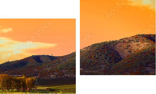 Vineyard Sunset - Zweiteiliges Leinwandbild, Diptychon
