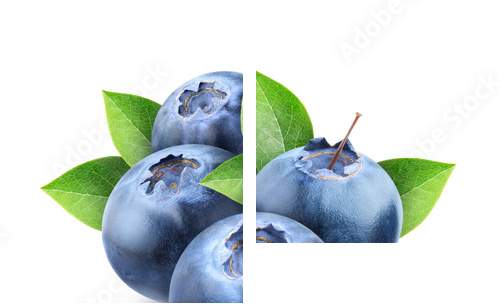Fresh blueberries isolated on white - Zweiteiliges Leinwandbild, Diptychon