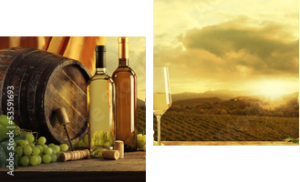 Wine - Zweiteiliges Leinwandbild, Diptychon