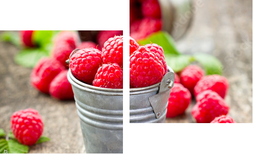 Fresh raspberry - Zweiteiliges Leinwandbild, Diptychon