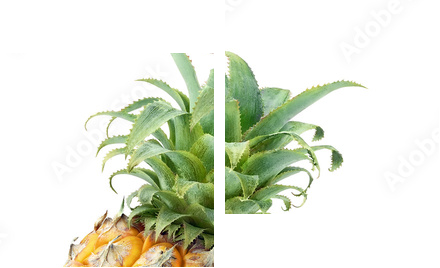 Pineapples isolated on white - Zweiteiliges Leinwandbild, Diptychon