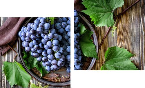 Grape - Zweiteiliges Leinwandbild, Diptychon