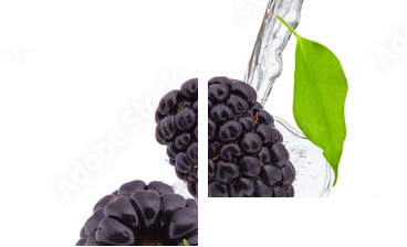 fresh blackberry in water splash - Zweiteiliges Leinwandbild, Diptychon