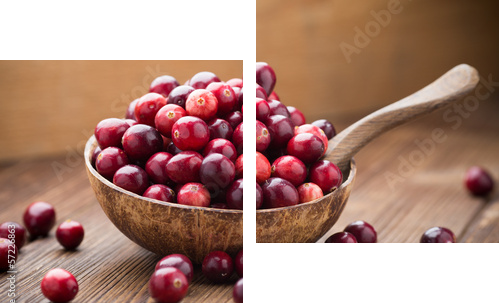 Cranberries.  - Zweiteiliges Leinwandbild, Diptychon