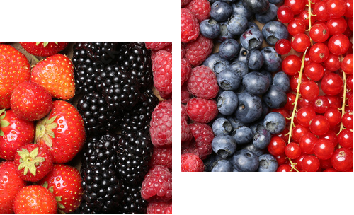 Frische Beeren FrÃ¼chte Hintergrund - Zweiteiliges Leinwandbild, Diptychon