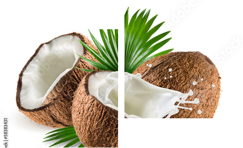 Coconuts with milk splash and leaf on white background - Zweiteiliges Leinwandbild, Diptychon