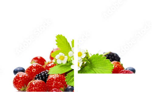fresh berries - Zweiteiliges Leinwandbild, Diptychon