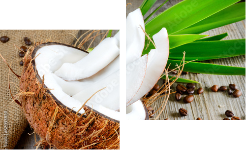 fresh coconut sliced - Zweiteiliges Leinwandbild, Diptychon