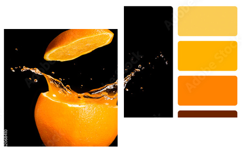 Colour palette swatch. - Zweiteiliges Leinwandbild, Diptychon