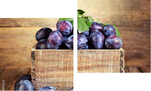 blue pulms  - Zweiteiliges Leinwandbild, Diptychon