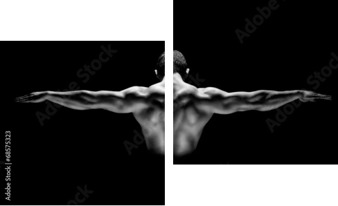 healthy muscular man with his arms stretched out isolated  - Zweiteiliges Leinwandbild, Diptychon
