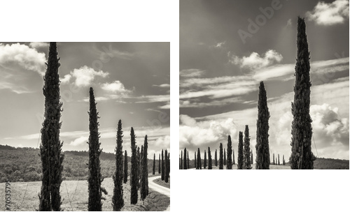cypress trees - Zweiteiliges Leinwandbild, Diptychon