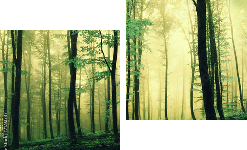 Magic green colored forest - Zweiteiliges Leinwandbild, Diptychon