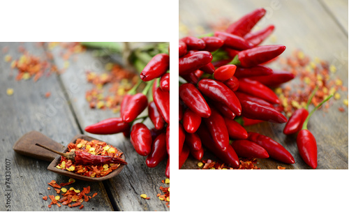 Holzbrett Chili  - Zweiteiliges Leinwandbild, Diptychon
