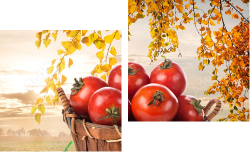 Ripe tomatoes  - Zweiteiliges Leinwandbild, Diptychon