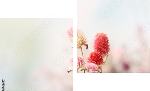 Beautiful dried flowers on bright background  - Zweiteiliges Leinwandbild, Diptychon