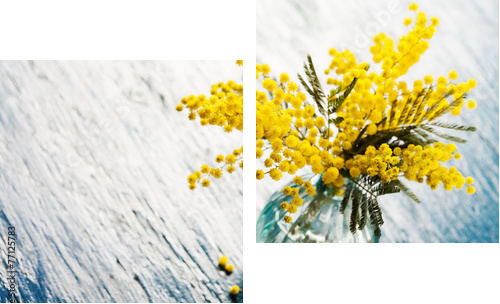 Bouquet of mimosa (silver wattle) in vase on wooden background  - Zweiteiliges Leinwandbild, Diptychon