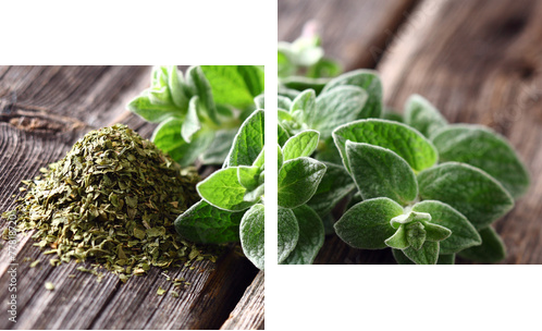 Oregano spices  - Zweiteiliges Leinwandbild, Diptychon