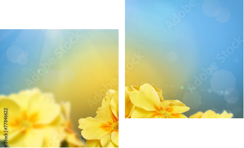 Yellow flowers on a nature background  - Zweiteiliges Leinwandbild, Diptychon
