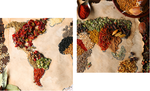 Map of world made from different kinds of spices, close-up  - Zweiteiliges Leinwandbild, Diptychon