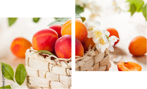 fresh apricots  - Zweiteiliges Leinwandbild, Diptychon