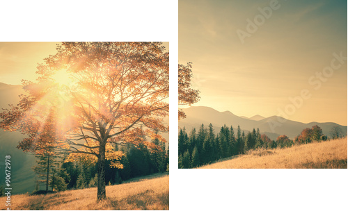 Autumn tree and sunbeam warm day landscape toned in vintage - Zweiteiliges Leinwandbild, Diptychon