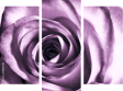 Dreiteiliges Leinwandbild - Triptychon