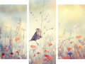 Dreiteiliges Leinwandbild - Triptychon