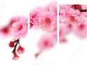 Dreiteiliges Leinwandbild - Triptychon