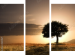 Dreiteiliges Leinwandbild - Triptychon