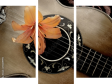 Dreiteiliges Leinwandbild - Triptychon