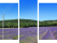 Dreiteiliges Leinwandbild - Triptychon