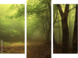 Dreiteiliges Leinwandbild - Triptychon