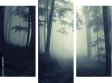 Dreiteiliges Leinwandbild - Triptychon