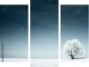 Dreiteiliges Leinwandbild - Triptychon