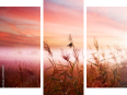 Dreiteiliges Leinwandbild - Triptychon