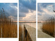 Dreiteiliges Leinwandbild - Triptychon