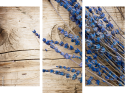 Dreiteiliges Leinwandbild - Triptychon