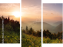 Dreiteiliges Leinwandbild - Triptychon