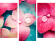 Dreiteiliges Leinwandbild - Triptychon