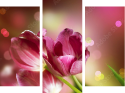 Dreiteiliges Leinwandbild - Triptychon