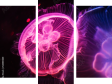 Dreiteiliges Leinwandbild - Triptychon